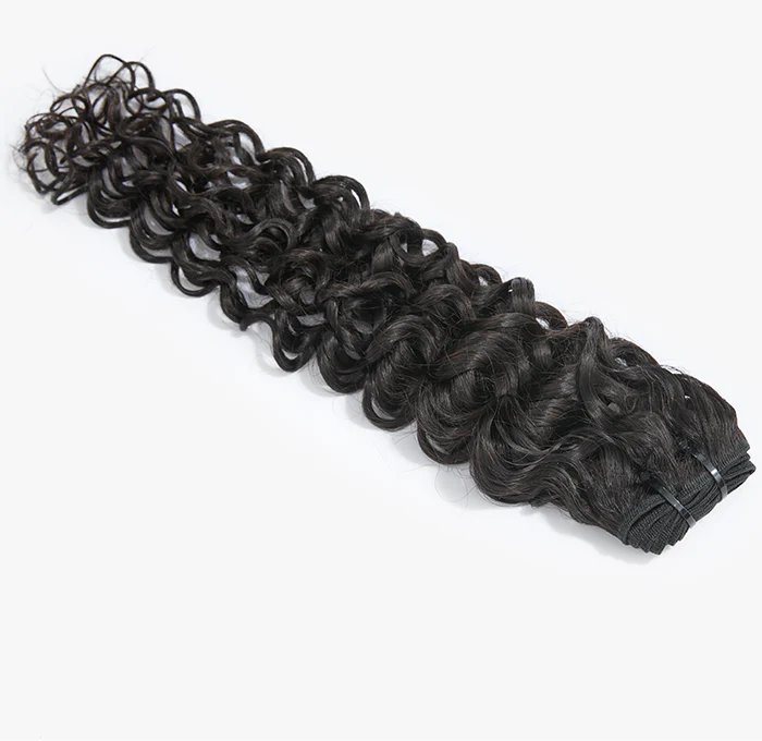 Raw Vietnam Hair Bundles Burmese Curly 18-26''
